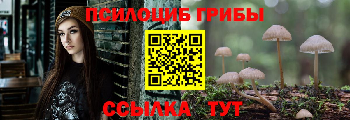 Галлюциногенные грибы Psilocybine cubensis  Галлюциногенные грибы Psilocybine cubensis  Вход с VPN  Бугульма 